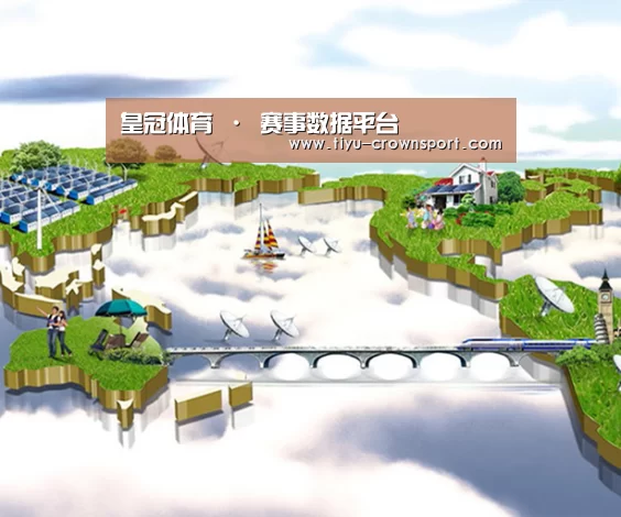 案例展示