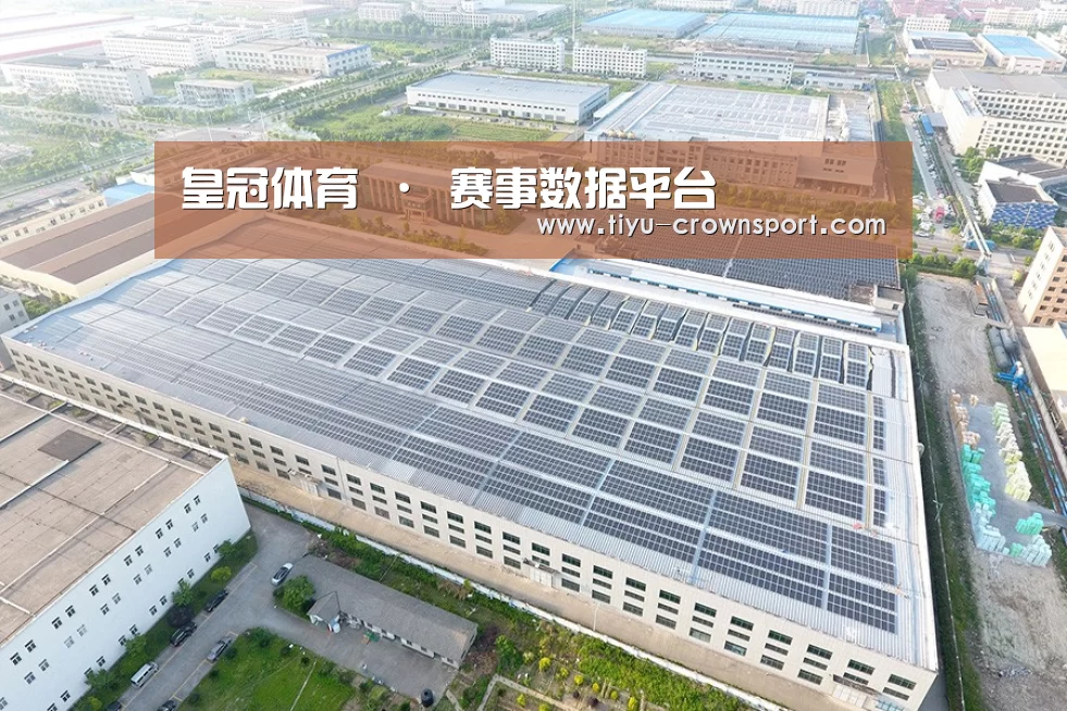 案例展示一
