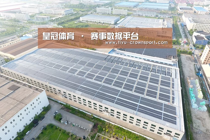 案例展示二