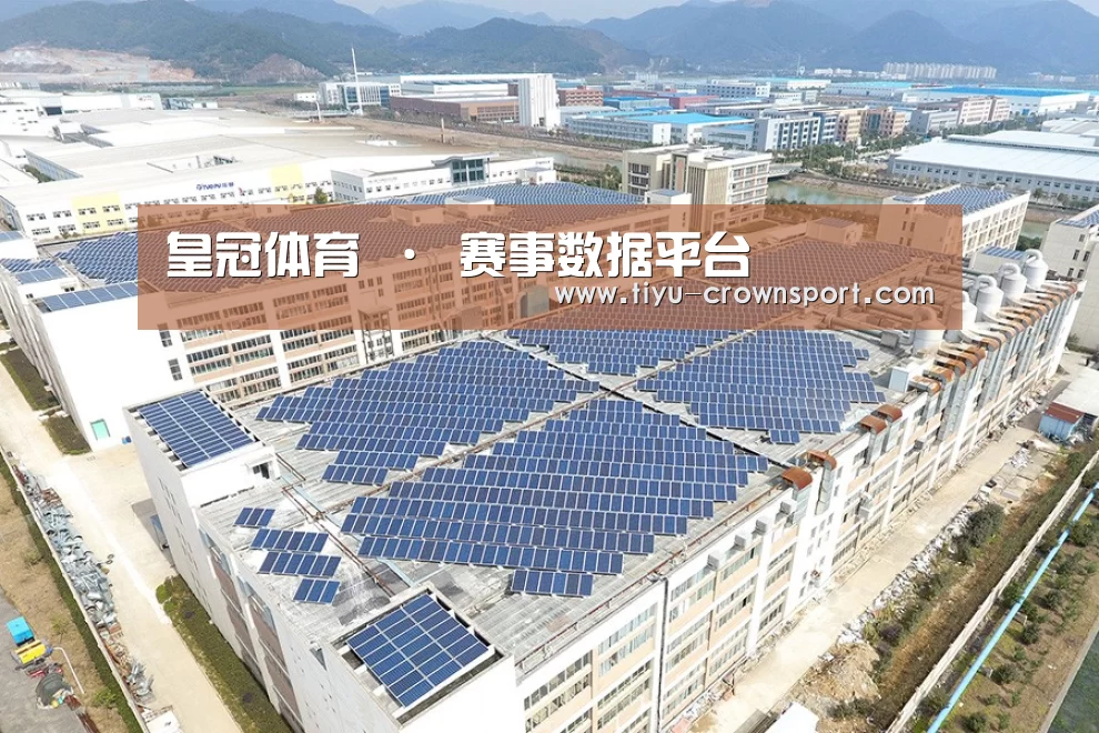 案例展示一
