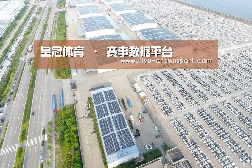 案例展示一