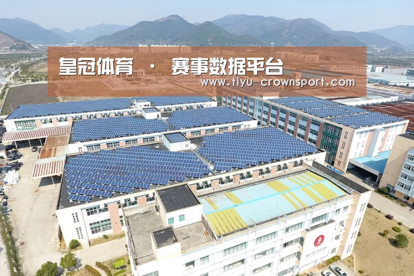 案例展示三