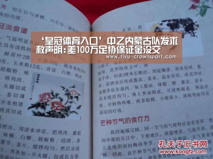 ‘皇冠体育入口’中乙内蒙古队发求救声明:差100万足协保证金没交(图4) 皇冠体育入口